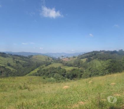 Fazendas - Sitios à venda - Fotos para Mini Sitio em Toledo Mg