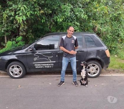 Veterinários - Serviços - Acessórios - Fotos para Adestramento de cães