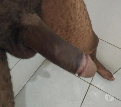 Encontros Sexuais - images_alt_text Comedor gostoso