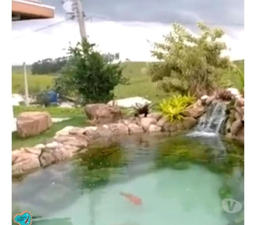 Capacitação profissional Caruaru PE - Fotos para Curso Construção Lagos Ornamentais e Piscinas Bio Naturais