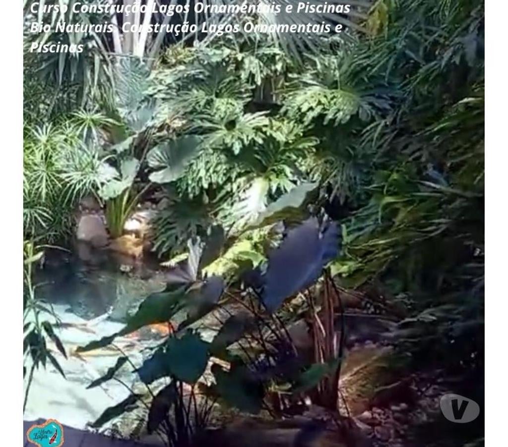 Capacitação profissional Caruaru PE - Fotos para Curso Construção Lagos Ornamentais e Piscinas Bio Naturais