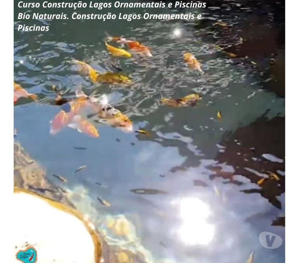 Capacitação profissional Caruaru PE - Fotos para Curso Construção Lagos Ornamentais e Piscinas Bio Naturais