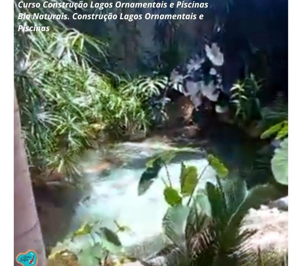 Capacitação profissional Caruaru PE - Fotos para Curso Construção Lagos Ornamentais e Piscinas Bio Naturais