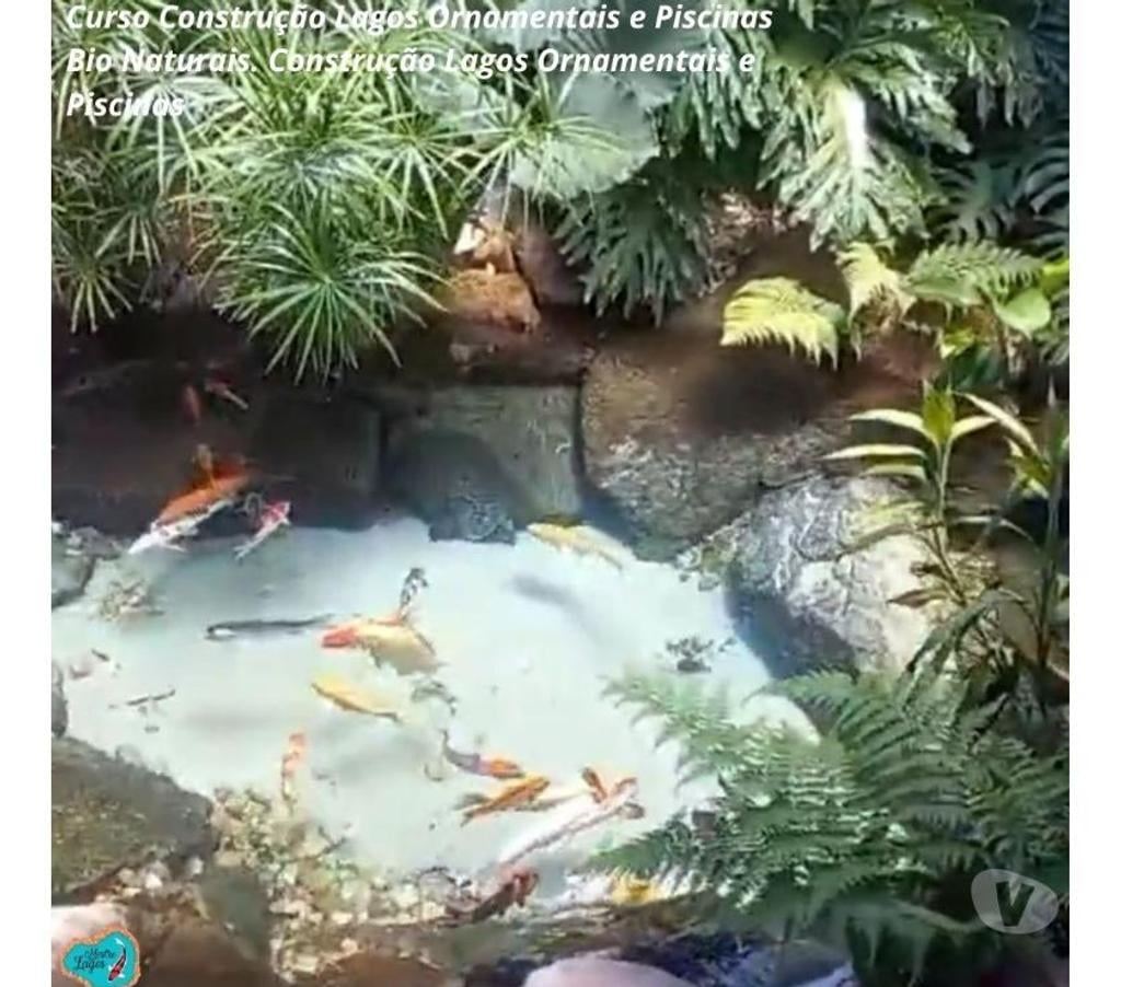 Capacitação profissional Caruaru PE - Fotos para Curso Construção Lagos Ornamentais e Piscinas Bio Naturais