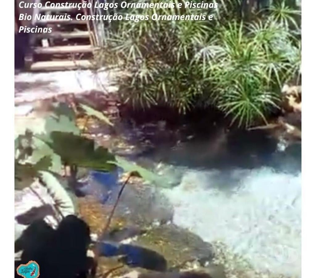 Capacitação profissional Caruaru PE - Fotos para Curso Construção Lagos Ornamentais e Piscinas Bio Naturais