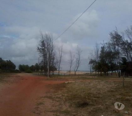 Terrenos - Fotos para Terreno 16,8 hect Praia Pititinga 200 m beira mar Rio FogoRN