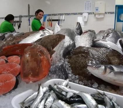 Venda Loja Outros Bairros Sao Paulo SP Sao Paulo SP - Fotos para Peixaria na Zona Sul