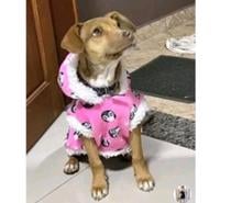 Roupa de Frio para Cães e Gatos