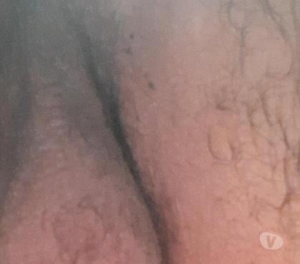 Encontros Sexuais - Fotos para Cuzinho iniciante