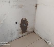 Claudiomiro prestação de serviços