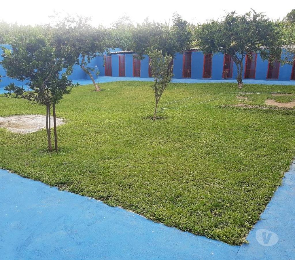 Veterinários - Serviços - Acessórios Gama DF - images_alt_text HOTEL PARA CÃES E GATOS 61 991085134 whatsapp