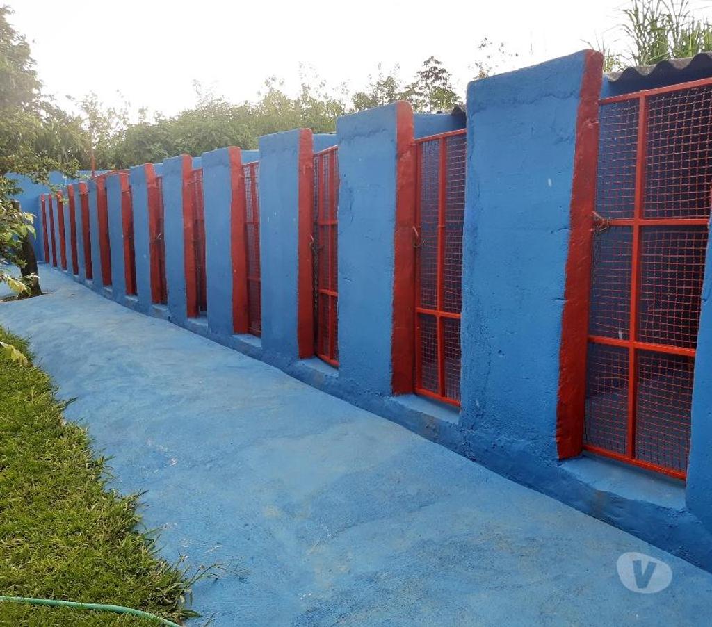 Veterinários - Serviços - Acessórios Gama DF - images_alt_text HOTEL PARA CÃES E GATOS 61 991085134 whatsapp