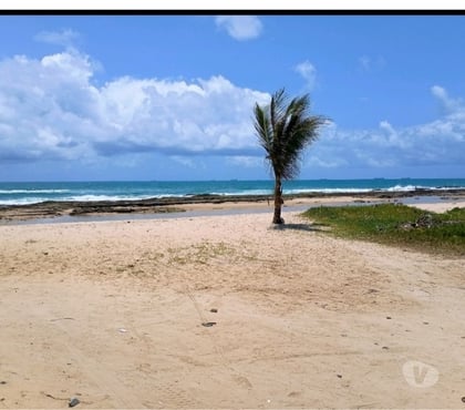 Terrenos a venda - images_alt_text Praia Enseada dos Corais- Terreno Beira Mar 600m2