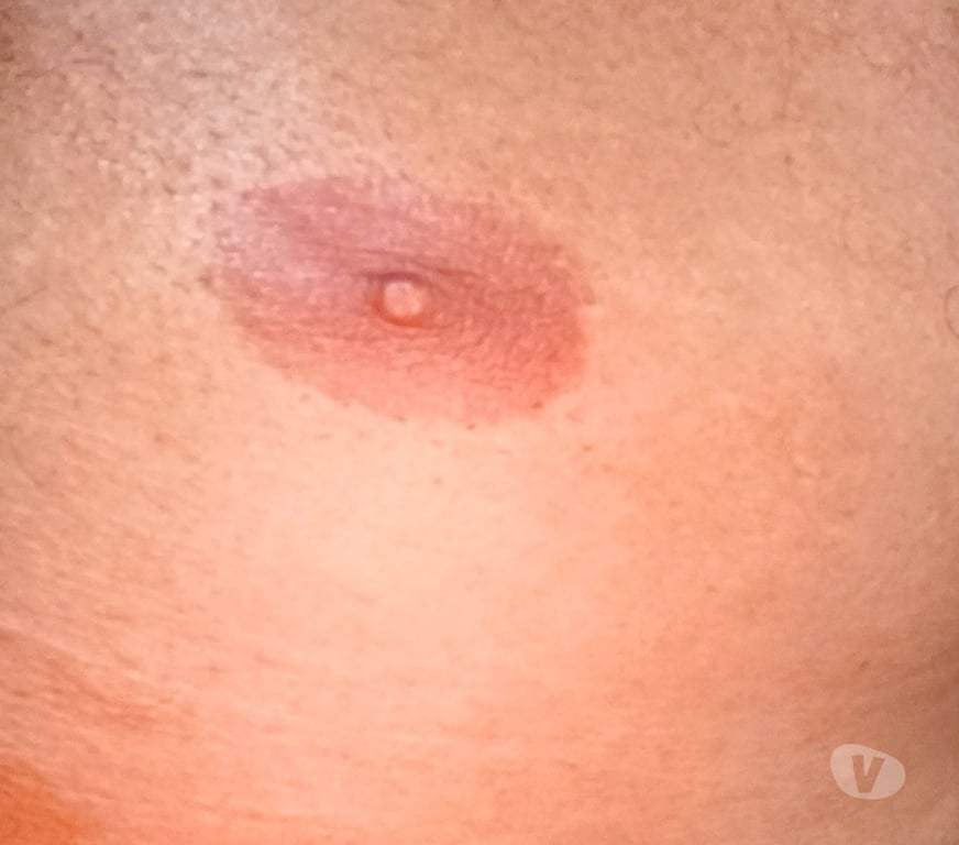 Homem procura Homem Rio de Janeiro RJ Campo Grande, Rio de Janeiro - Fotos para Quero um gordo ou gordão gostoso