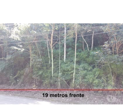 Terrenos - Lotes - Fotos para 🌄 Serra da Cantareira – Terreno Aclive Lindo!