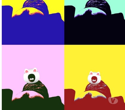 Homem procura Homem Centro-Sul Belo Horizonte MG - Fotos para Quero mamar hj centro