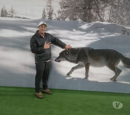 Reparo - Conserto - Reforma Santana Sao Paulo SP - Fotos para Marido de aluguel