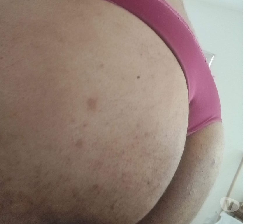 Encontros Casuais Barra Mansa RJ - images_alt_text GORDO PSV PROCURA MACHO ATIVO