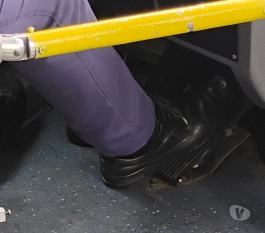 Homem procura Homem Sao Paulo SP Perus - images_alt_text Procuro motorista de ônibus 🚍 Fretado na anhanguera