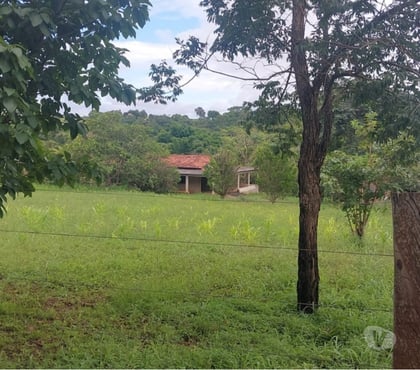 Fazendas - Sitios à venda - Fotos para chacara com agua