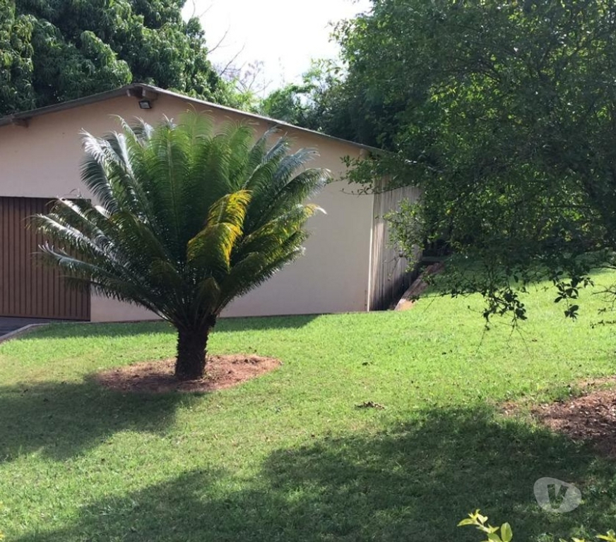 Fazendas - Sitios à venda Avare SP - Fotos para Impecável Chácara em Avaré c 12100 metros.Oportunidade!