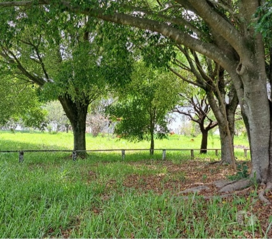 Fazendas - Sitios à venda Boituva SP - Fotos para Chácara B.Pinhal c 20.388 m² c 3 dorms + Casa Caseiro.