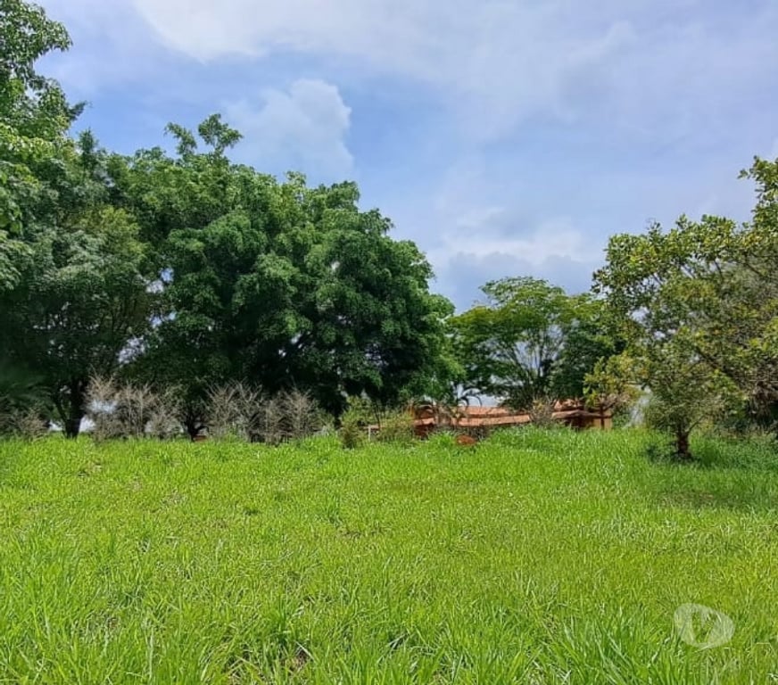 Fazendas - Sitios à venda Boituva SP - Fotos para Chácara B.Pinhal c 20.388 m² c 3 dorms + Casa Caseiro.