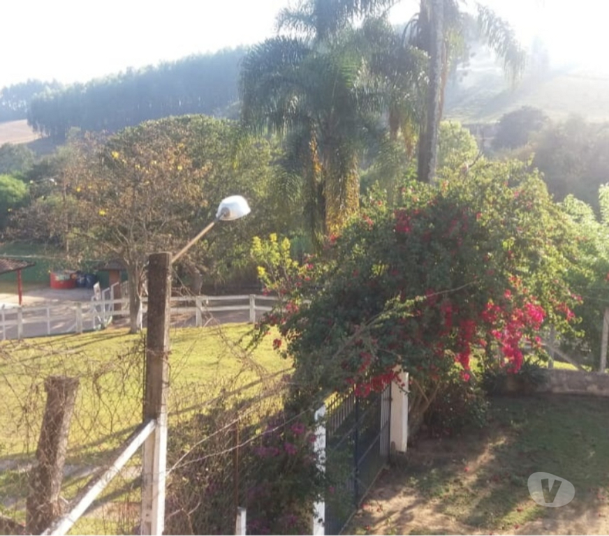 Fazendas - Sitios à venda Pedra Bela SP - Fotos para Chácara em Pedra Bela-SP c 22.400 m² Nascentes.