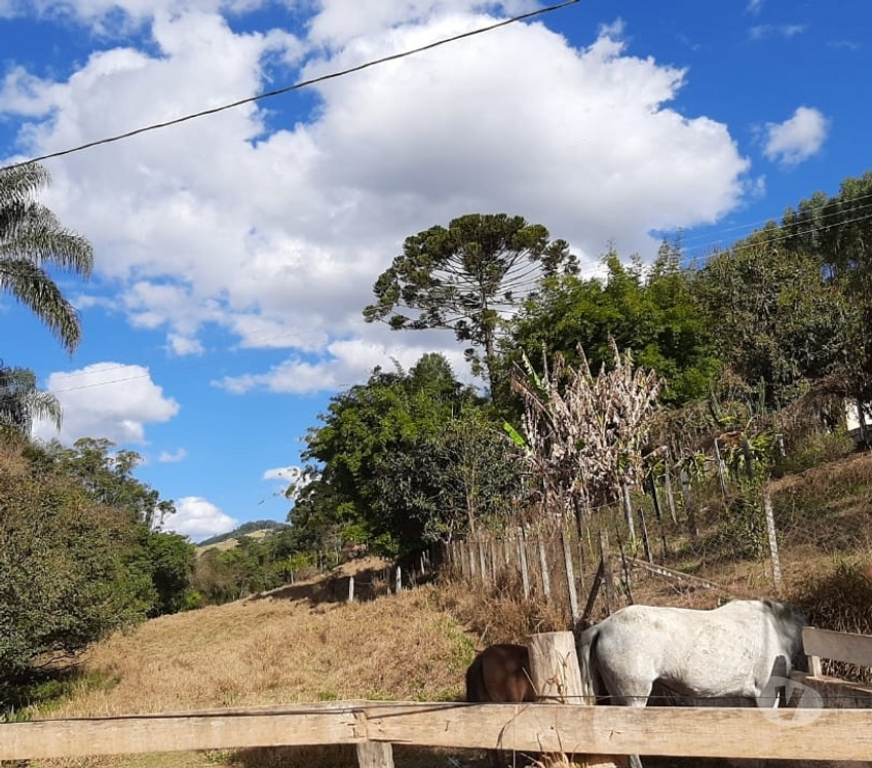 Fazendas - Sitios à venda Pedra Bela SP - Fotos para Chácara em Pedra Bela-SP c 22.400 m² Nascentes.