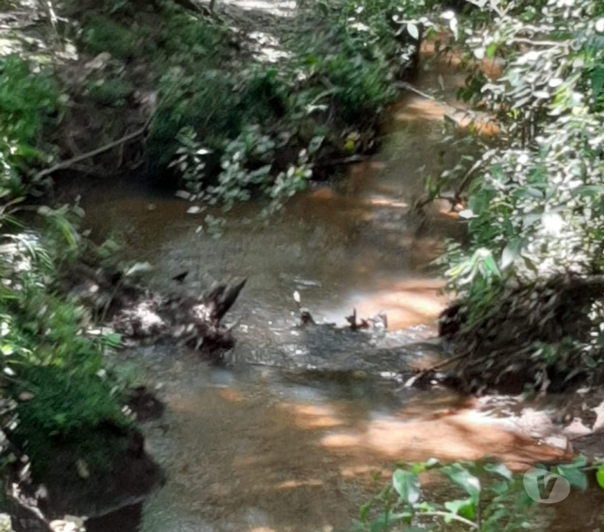 Fazendas - Sitios à venda Pedra Bela SP - Fotos para Chácara em Pedra Bela-SP c 22.400 m² Nascentes.