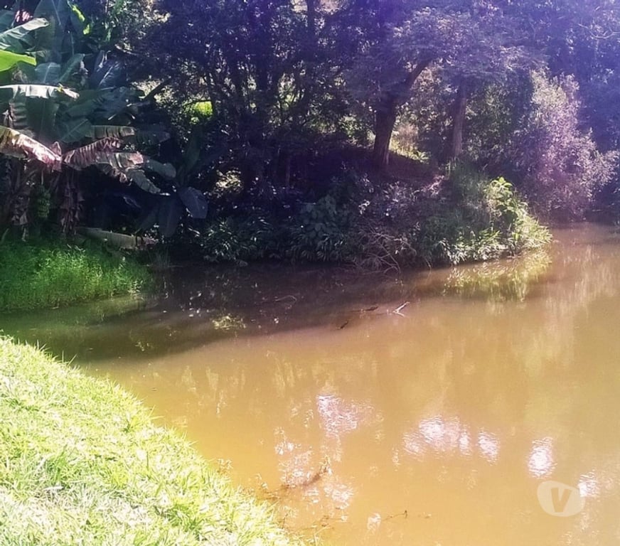 Fazendas - Sitios à venda Sao Paulo SP Outros Bairros Sao Paulo SP - Fotos para Sítio em Santa Isabel c190 mil m².Á 500m do asfalto.