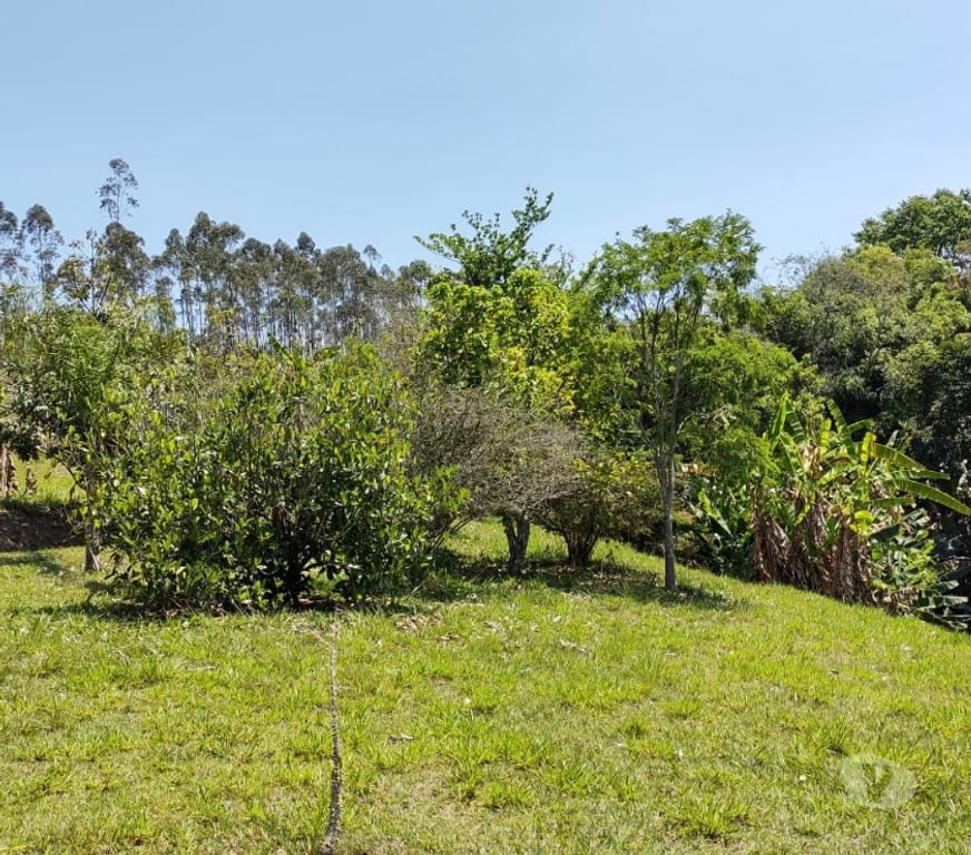 Fazendas - Sitios à venda Sao Paulo SP Outros Bairros Sao Paulo SP - Fotos para Sítio em Santa Isabel c190 mil m².Á 500m do asfalto.