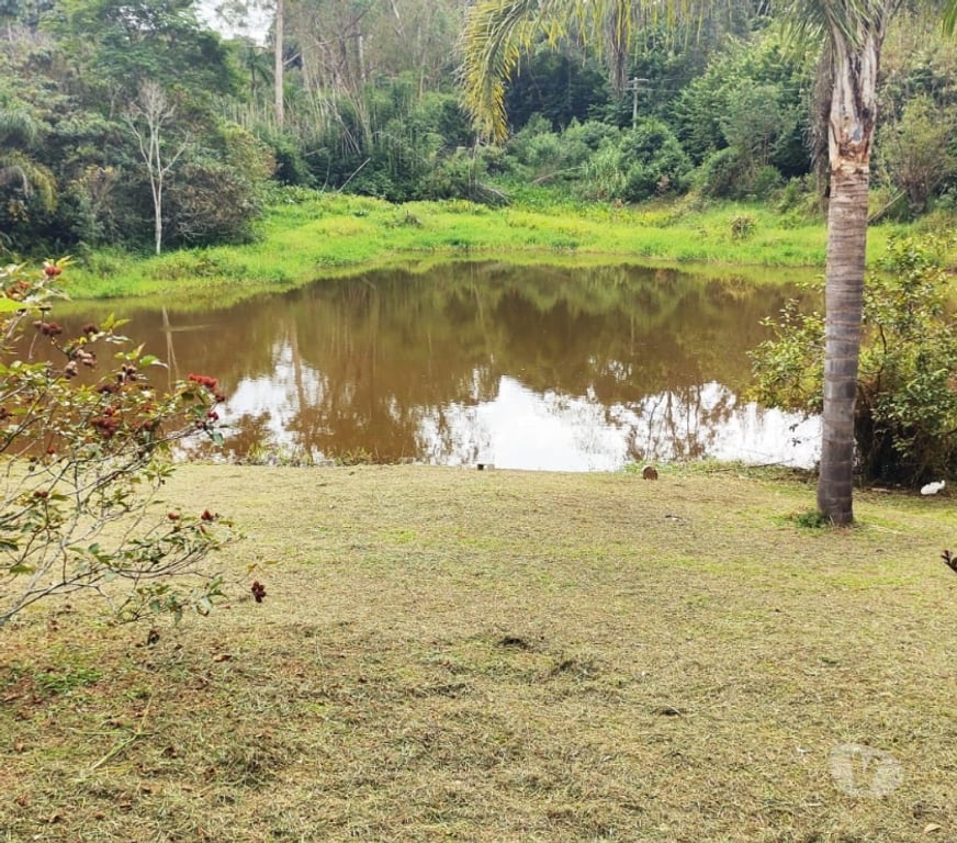 Fazendas - Sitios à venda Sao Paulo SP Outros Bairros Sao Paulo SP - Fotos para Sítio em Santa Isabel c190 mil m².Á 500m do asfalto.
