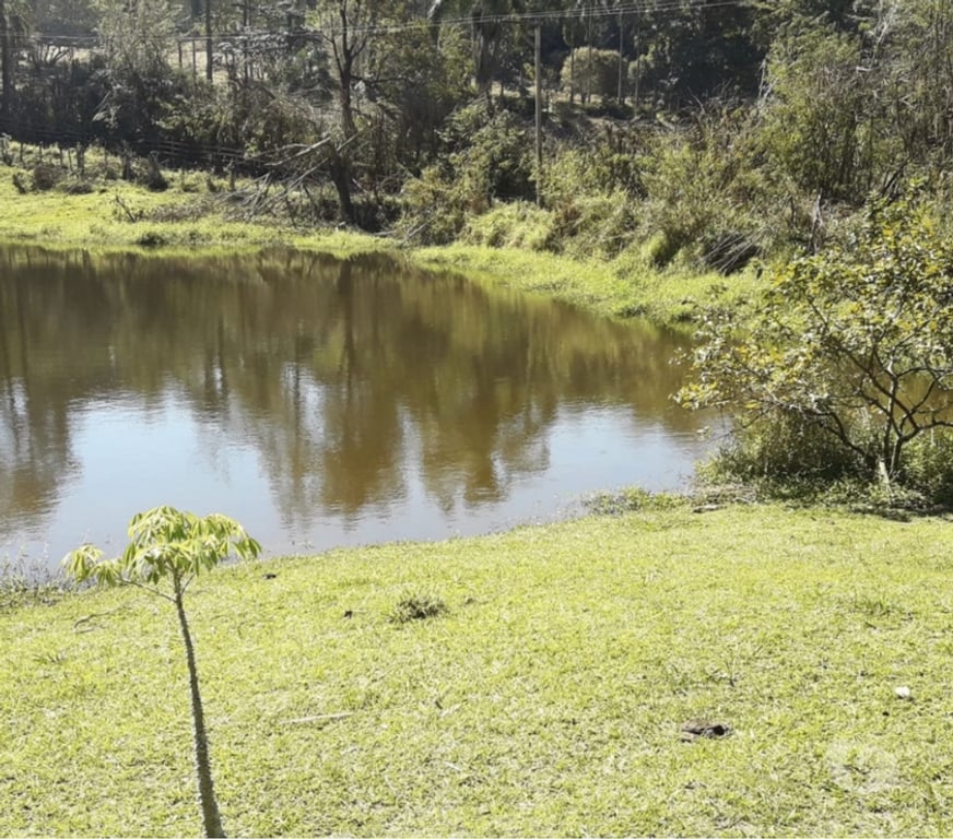 Fazendas - Sitios à venda Sao Paulo SP Outros Bairros Sao Paulo SP - Fotos para Sítio em Santa Isabel c190 mil m².Á 500m do asfalto.