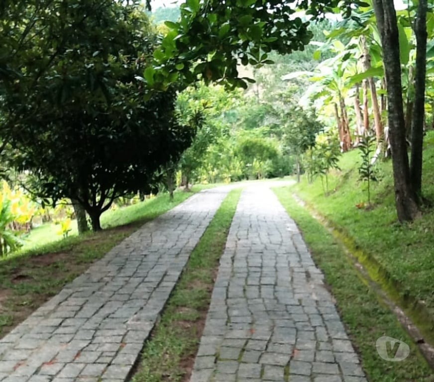 Fazendas - Sitios à venda Sao Paulo SP Outros Bairros Sao Paulo SP - Fotos para Sítio em Santa Isabel c190 mil m².Á 500m do asfalto.