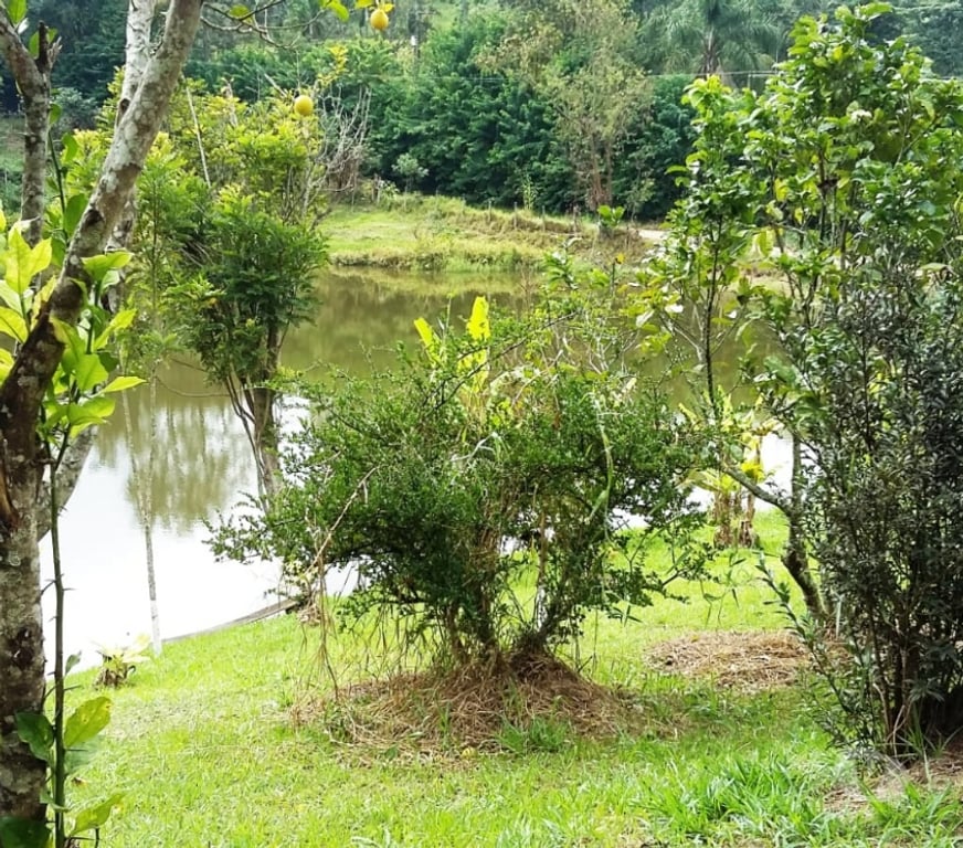 Fazendas - Sitios à venda Sao Paulo SP Outros Bairros Sao Paulo SP - Fotos para Sítio em Santa Isabel c190 mil m².Á 500m do asfalto.