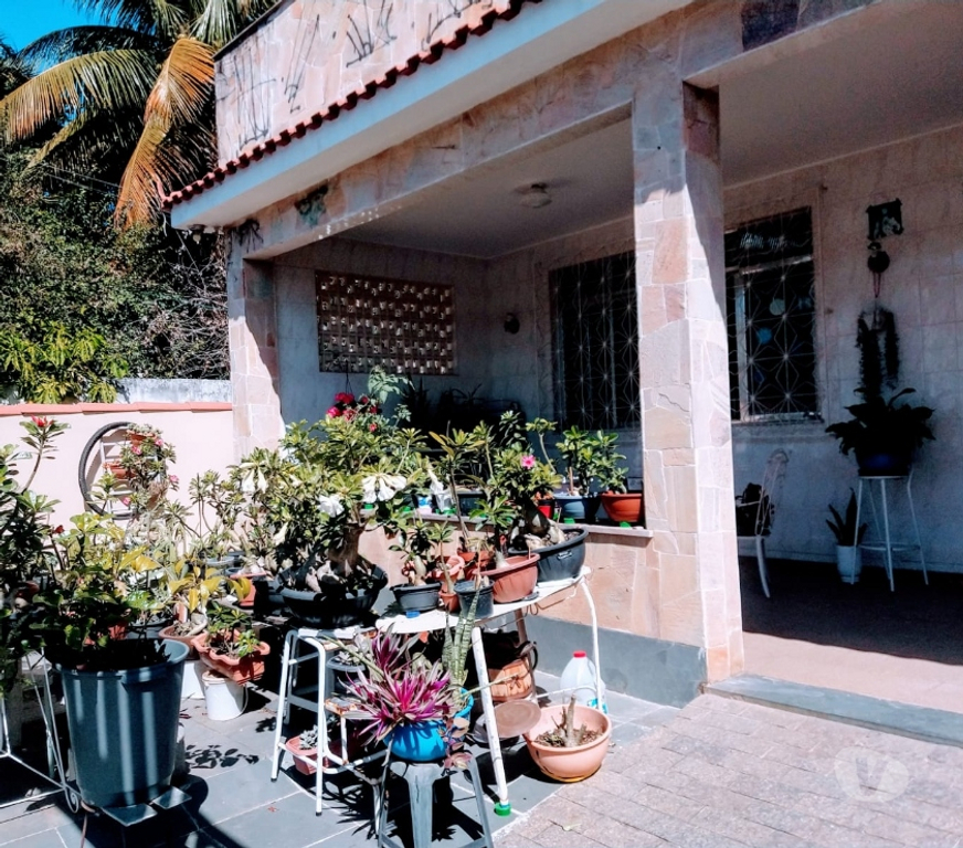 Apartamentos a venda Rio de Janeiro RJ Ilha do Governador - Fotos para 2 Casas -Excelente oportunidade.