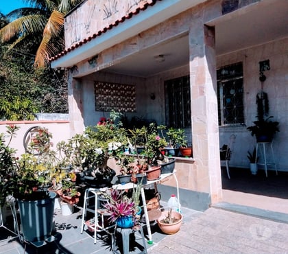 Apartamentos - Casas venda Ilha do Governador Rio de Janeiro RJ - Fotos para 2 Casas -Excelente oportunidade.