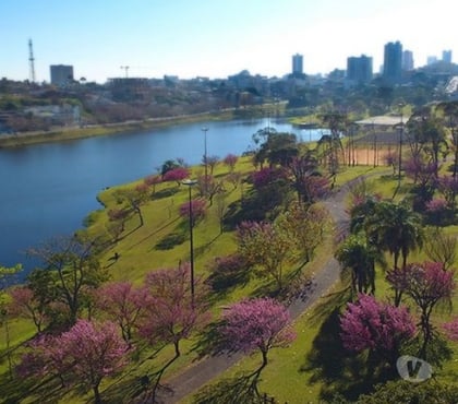 Alugar apartamentos - Fotos para Casa Parque do Lago