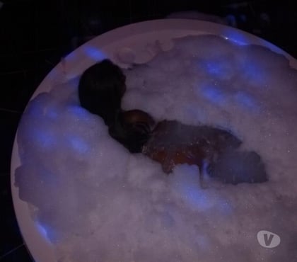 Acompanhantes - Fotos para Maary Satisfação e prazer garantido