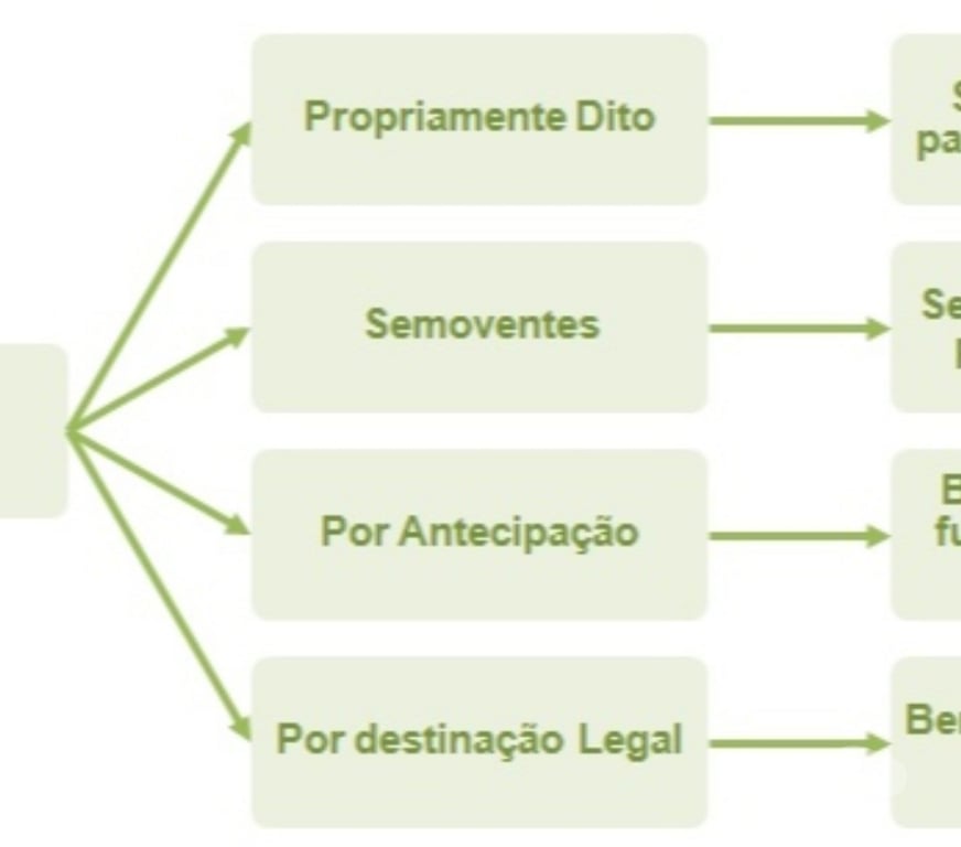 Profissionais liberais Sao Paulo SP Tatuapé - Fotos para Perito Judicial e Assistente Técnico..