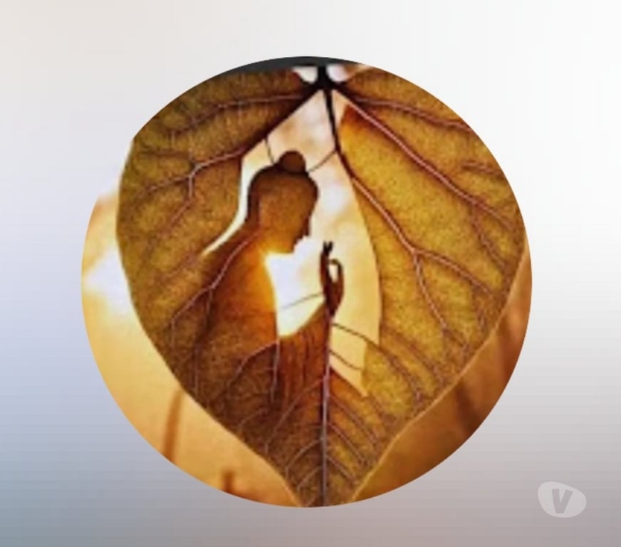 Bem-Estar - Saúde - Beleza Florianopolis SC Campeche - Fotos para Budha Terapias e massagem