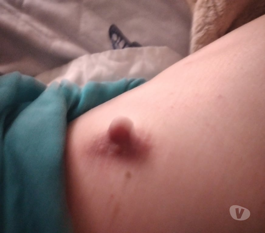 Encontros Casuais Sao Jose dos Campos SP - Fotos para CDzinha Loirinha lisinha quer macho dotado ativo