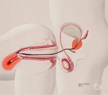 Encontros Casuais - images_alt_text Macho leitador de buceta