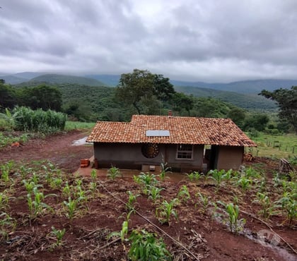 Fazendas - Sitios à venda - Fotos para Linda fazenda produtiva de 7ha com vista para cachoeira
