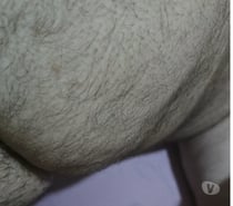 Procura-se Bull ativo e bem dotado