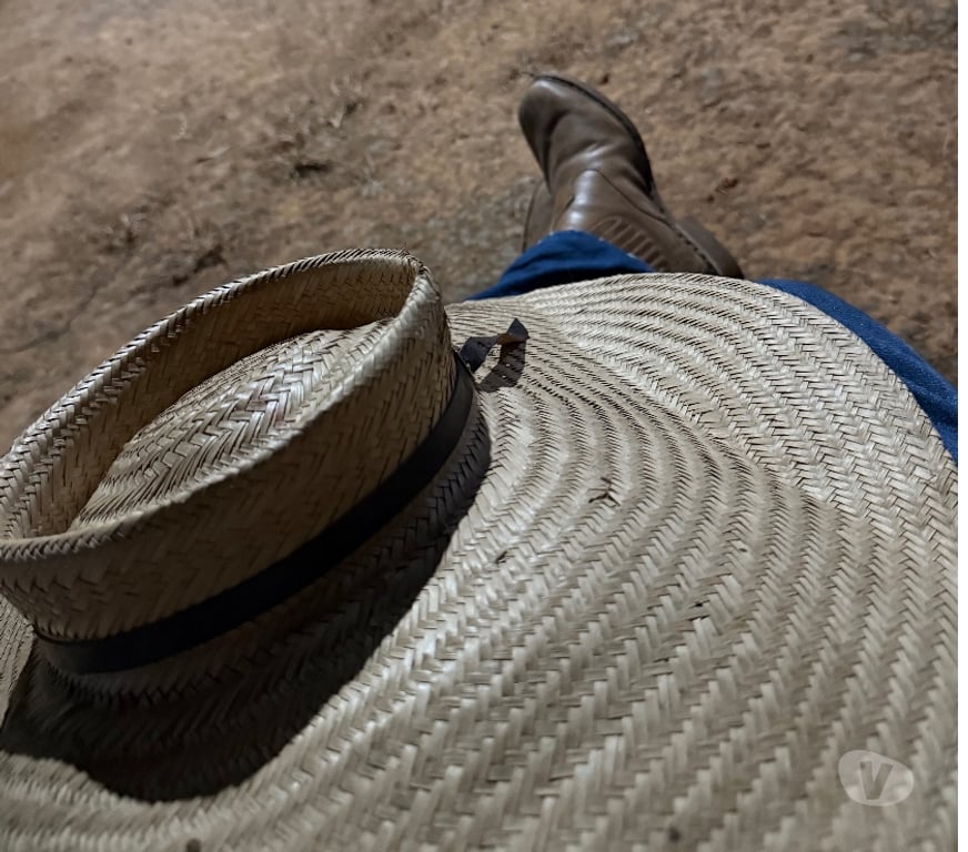 Encontros Casuais Alta Floresta MT - Fotos para Quero curtir no sigilo - Estou em Alta Floresta