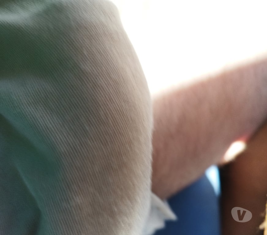 Encontros Casuais Trindade GO - Fotos para Exclusivo para mulher ou casal ( leia a legenda por favor)