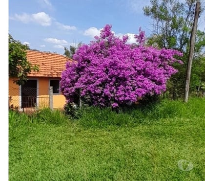 Fazendas - Sitios à venda - Fotos para Vende-se Sítio em Patrocínio Paulista
