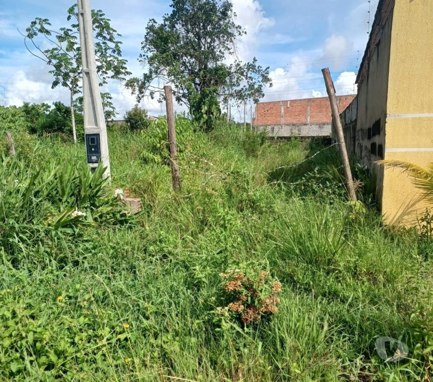 Terrenos Itanhaem SP - Fotos para IT308 Terreno - Jardim Regina - Itanhaém